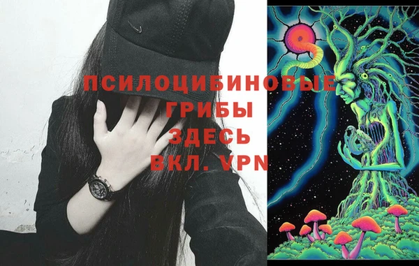 гидра Куйбышев