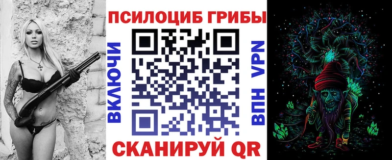 Купить  Ногинск  Псилоцибиновые грибы Psilocybe 