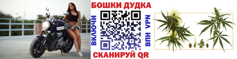 Бошки марихуана THC 21% Купить закладки Ногинск